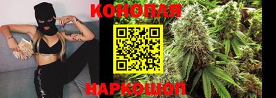 прущие грибы Пугачёв