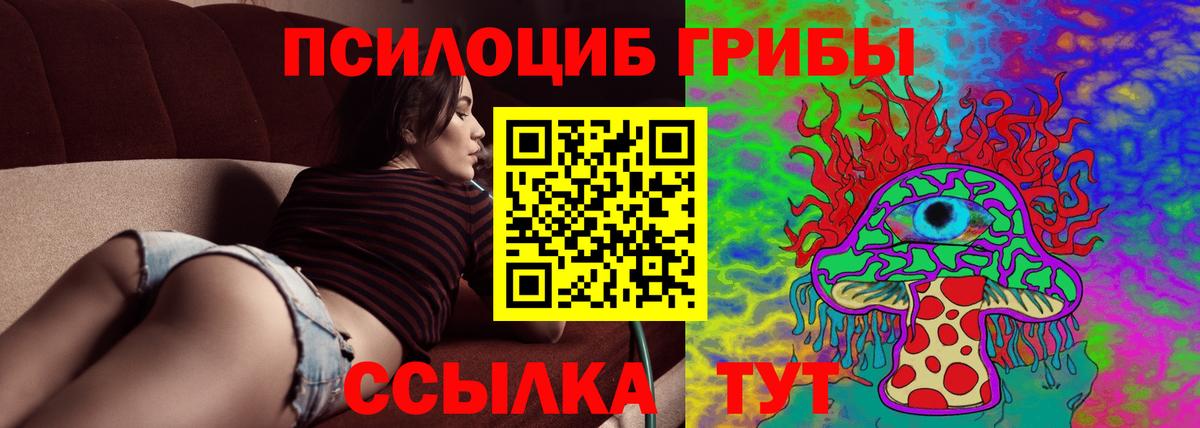 Россия  Галлюциногенные грибы Cubensis  Вход с VPN 